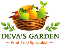 Deva's Garden – client of Softverses