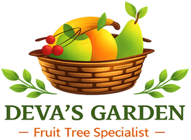 Deva's Garden – client of Softverses